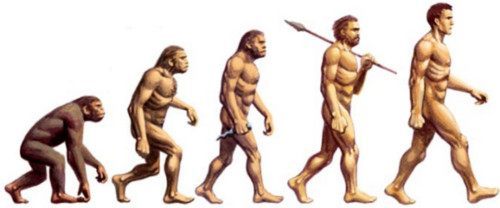 evolutie